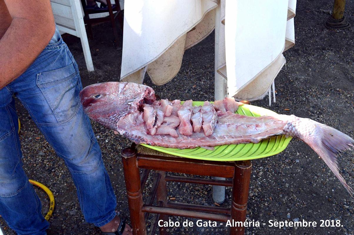 08 CABO DE GATA (22).JPG